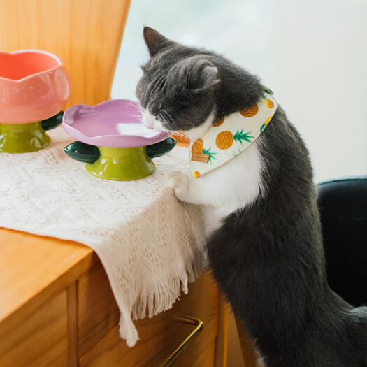 Website customization